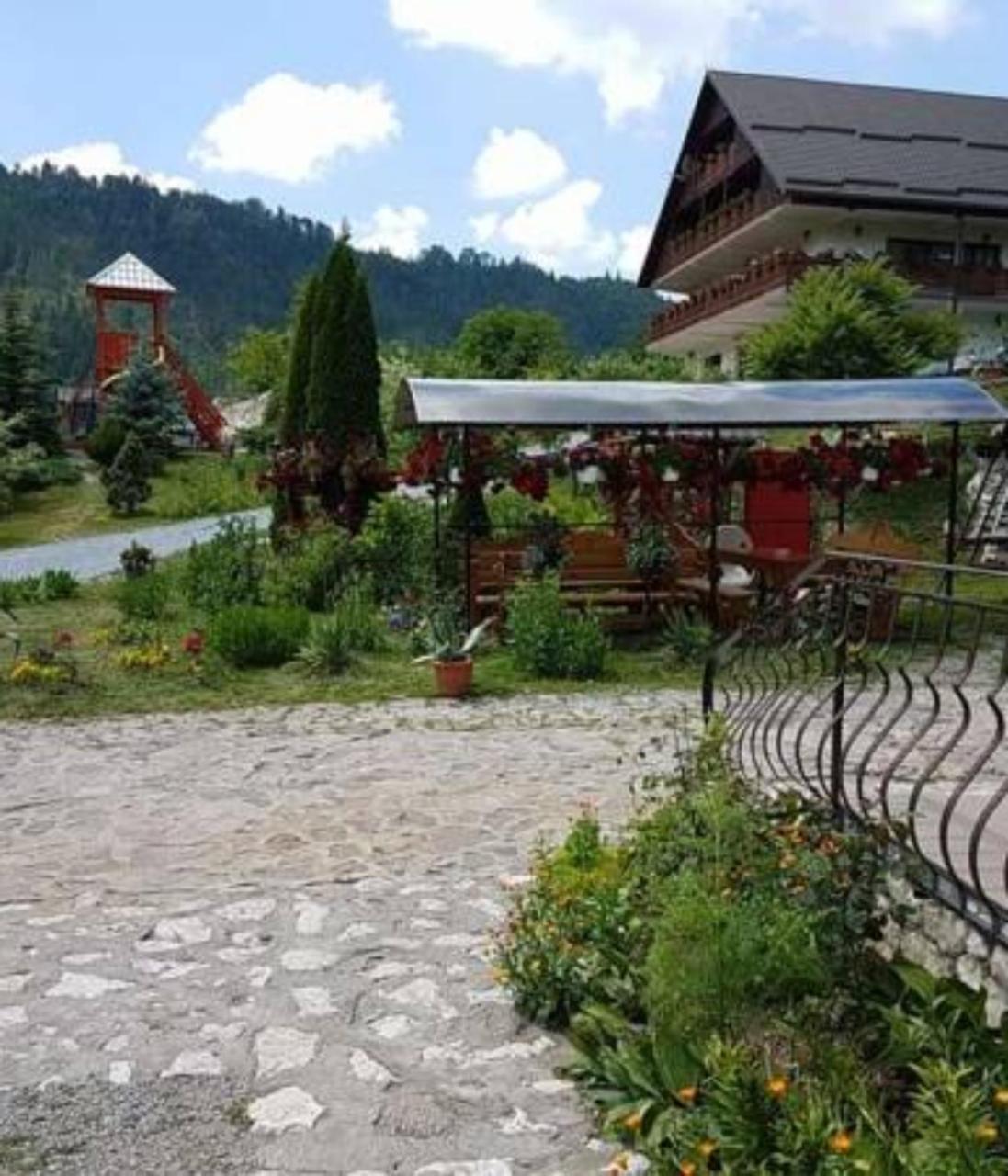 Pension Steaua Ariesului Albac Luaran gambar